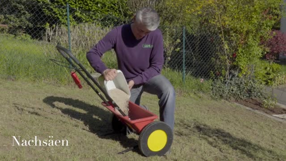 Pflege fuer den Rasen im Fruehjahr