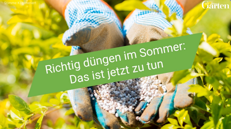 Richtig dngen im Sommer: Das ist jetzt zu tun