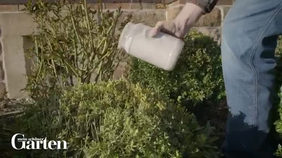 wie lange ist organischer dünger haltbar Rasendünger gegen Moos main image 1