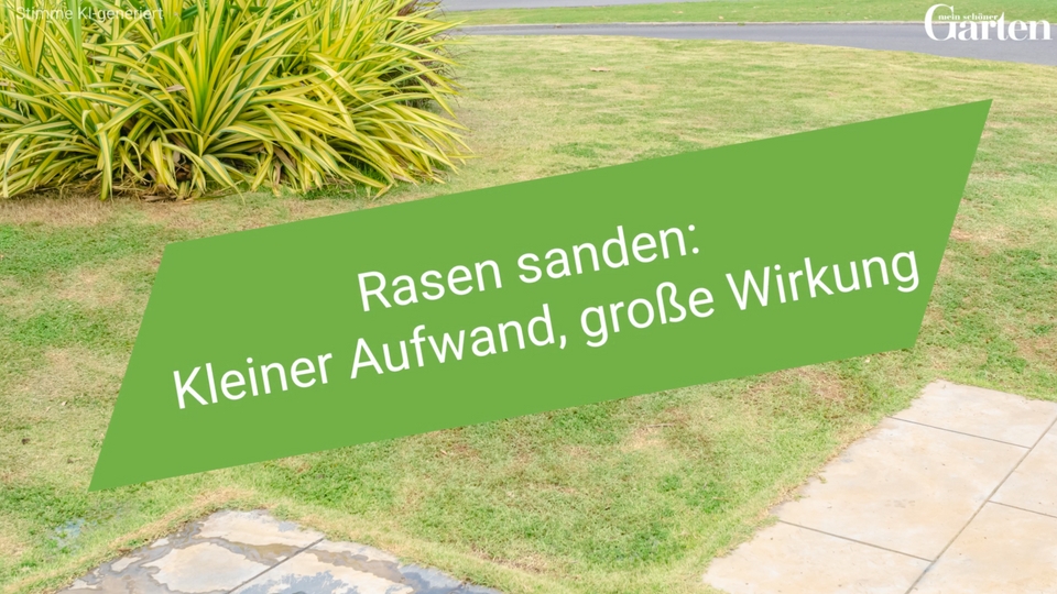 Rasen sanden: Kleiner Aufwand, groe Wirkung